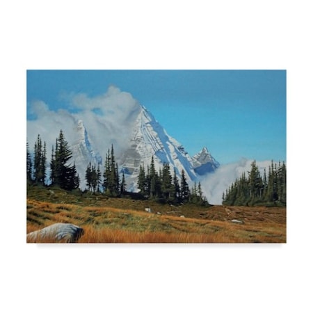 Ron Parker 'Mountain Mists' Canvas Art,22x32